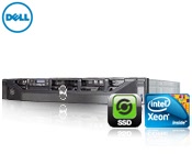DELL PE R410 WD (SSD)