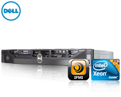 DELL PE iR410 WD (SAS)