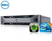 DELL PE R710 WD (SSD)